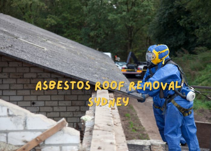 Asbestos Roof Removal: Risks, Regulations, and Recommended Practices